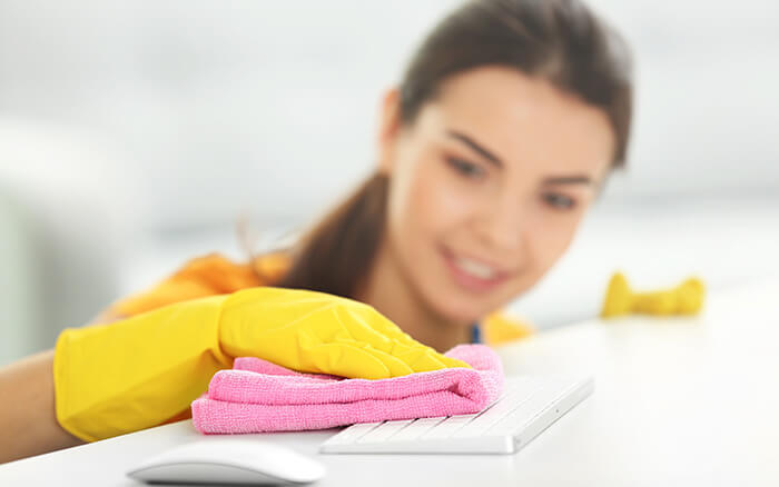 Pest Control Service